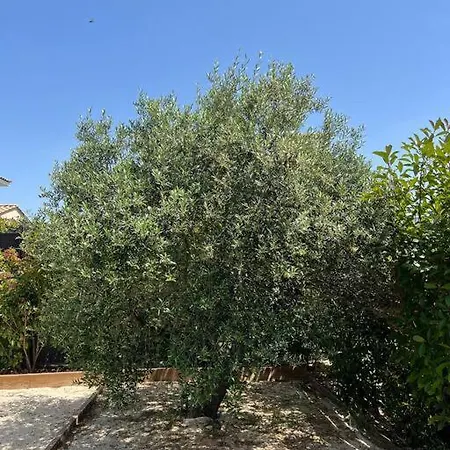 Maison Avec Piscine Chauffee Villa *